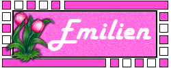 Naamanimaties Emilien 