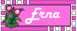 Naamanimaties Erna 