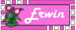 Naamanimaties Erwin 