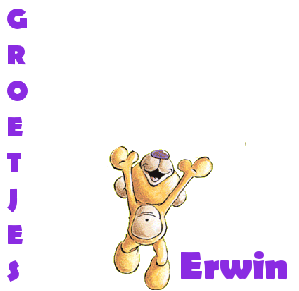 Naamanimaties Erwin 