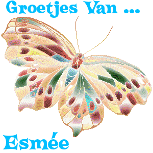 Naamanimaties Esmee Groetjes Van Esmee Regenboog Vlinder