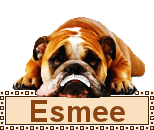 Naamanimaties Esmee 