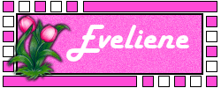 Naamanimaties Eveliene 
