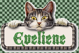 Naamanimaties Eveliene 