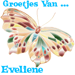 Naamanimaties Eveliene 