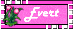 Naamanimaties Evert 