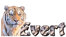 Naamanimaties Evert 