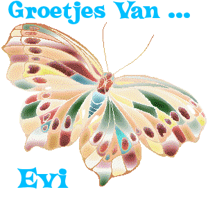 Naamanimaties Evi Groetjes Van Evi Vlinder