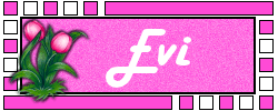 Naamanimaties Evi 