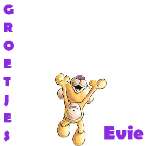 Naamanimaties Evie 