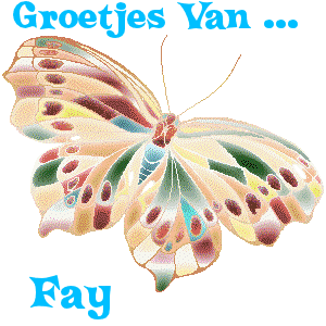 Naamanimaties Fay 