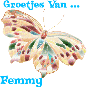 Naamanimaties Femmy 
