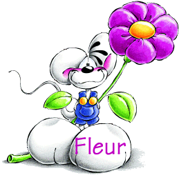 Naamanimaties Fleur 