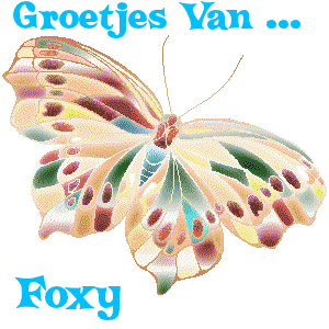 Naamanimaties Foxy 