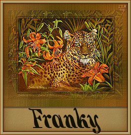 Naamanimaties Franky 