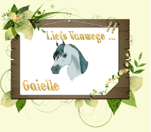 Naamanimaties Gaielle 