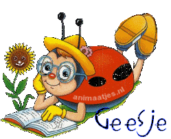 Naamanimaties Geesje 