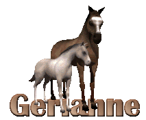 Naamanimaties Gerianne 