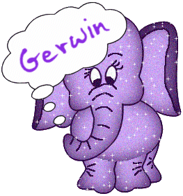 Naamanimaties Gerwin 