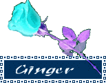 Ginger Naamanimaties 