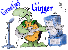 Ginger Naamanimaties 