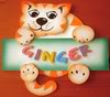 Ginger Naamanimaties 