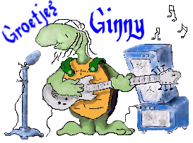 Naamanimaties Ginny 