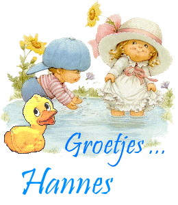 Naamanimaties Hannes 