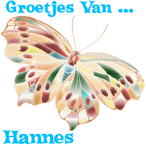 Naamanimaties Hannes 