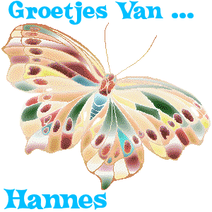 Naamanimaties Hannes 