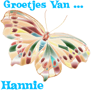 Naamanimaties Hannie 