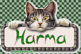 Naamanimaties Harma 