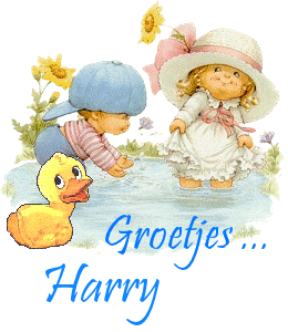 Harry Naamanimaties 