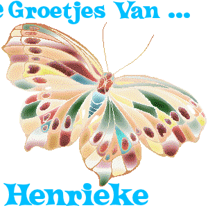 Naamanimaties Henrieke 