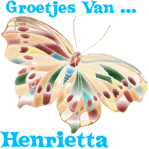 Naamanimaties Henrietta Henrietta Vlinder
