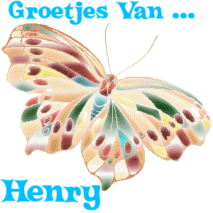 Naamanimaties Henry 