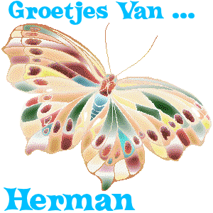 Herman Naamanimaties 