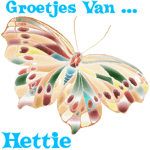 Naamanimaties Hettie 