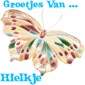 Naamanimaties Hielkje 
