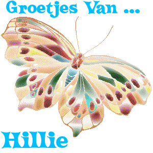 Naamanimaties Hillie 