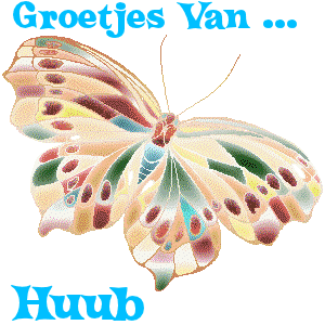 Naamanimaties Huub 