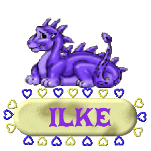 Naamanimaties Ilke 