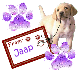 Jaap Naamanimaties 