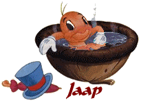 Jaap Naamanimaties 