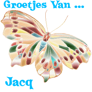 Naamanimaties Jacq 