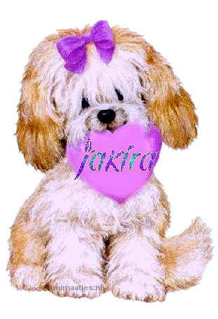 Naamanimaties Jakira 
