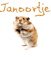 Naamanimaties Janoortje 