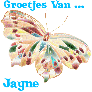 Naamanimaties Jayne 