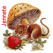 Naamanimaties Jennete 