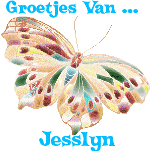 Naamanimaties Jesslyn 